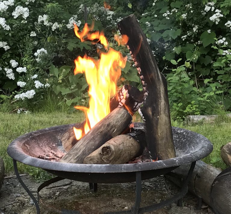 FIRE Coaching Program
